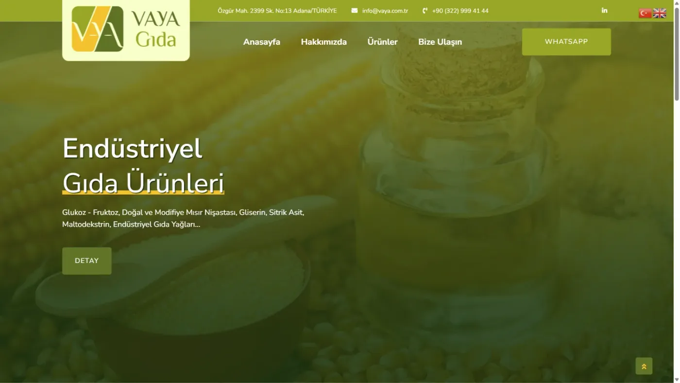 Vaya Gıda web sitesi anasayfa, masaüstü görünüm