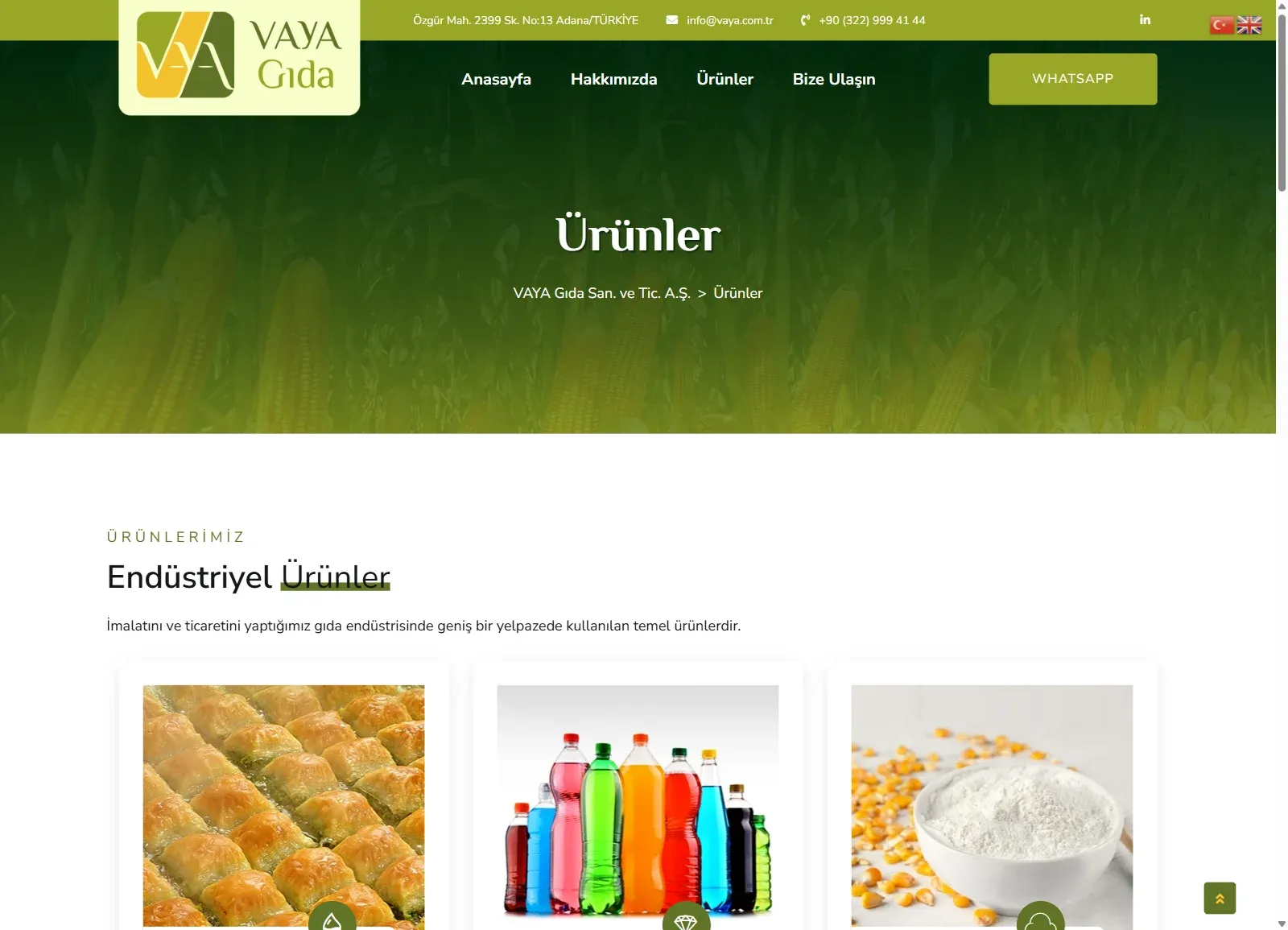 Vaya Gıda web sitesinde Ürünler sayfası; endüstriyel ürünler bölümü ve ürün görselleri